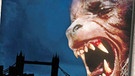 DVD- Cover "American Werewolf" | Bild: Universal Pictures Germany GmbH, colourbox.com, Montage: BR