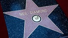 Neil Diamond u.a. | Bild: picture-alliance/dpa