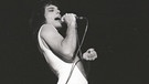 Queen-Sänger Freddie Mercury | Bild: Mauritius Images