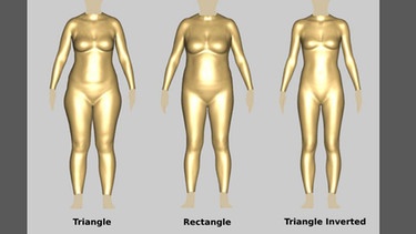 Die drei Grundformen des menschlichen Körpers: Dreieck, Rechteck und umgedrehtes Dreieck | Bild: Human Solutions Gruppe