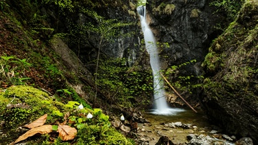 Lainbach-Wasserfälle bei Kochel | Bild: mauritius images / Sebastian Frölich