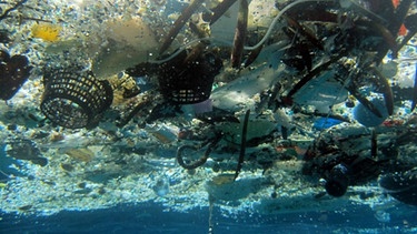 Unter der Meeresoberfläche treibt Plastikmüll, der die Ozeane belastet. | Bild: picture-alliance/dpa