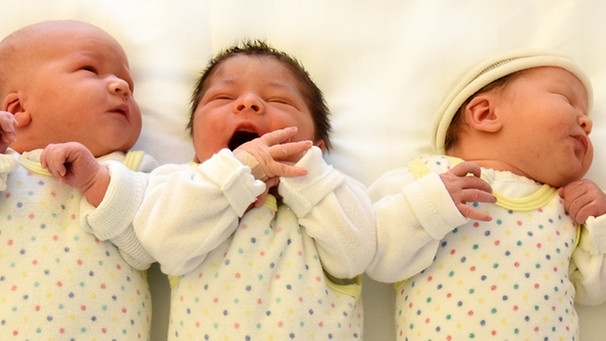 Mehrere Neugeborene liegen nebeneinander.  | Bild: picture-alliance/dpa