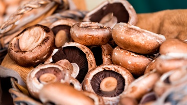 Pilze in einem Korb | Bild: mauritius-images