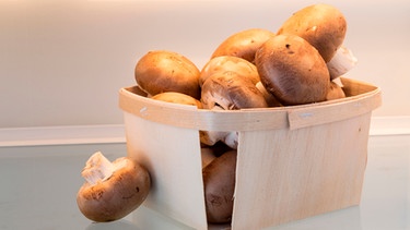 Pilze im Kühlschrank | Bild: mauritius-images