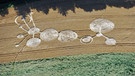 Kornkreise in einem Feld bei Jihlava nahe Prag | Bild: picture-alliance/dpa