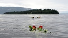 Rose vor norwegischer Insel Utoya | Bild: picture-alliance/dpa