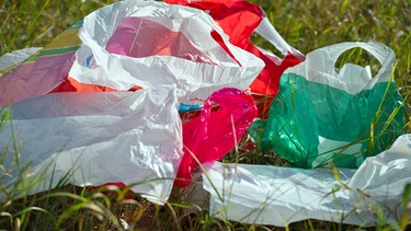 Eine Umweltfrage: Plastik- oder Stofftüten | Bild: picture-alliance/dpa