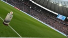 volles Bundesliga-Stadion vor dem Anpfiff | Bild: picture-alliance/dpa