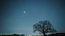 Sternenhimmel über einem Baum | Bild: mauritius images / Benjamin Engler