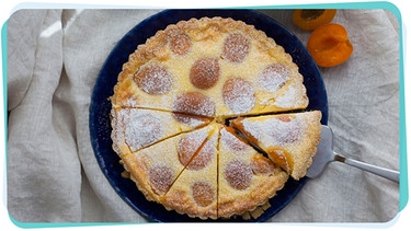 Ein saftiger Aprikosen-Schmand-Kuchen in einer Kuchenform | Bild: BR