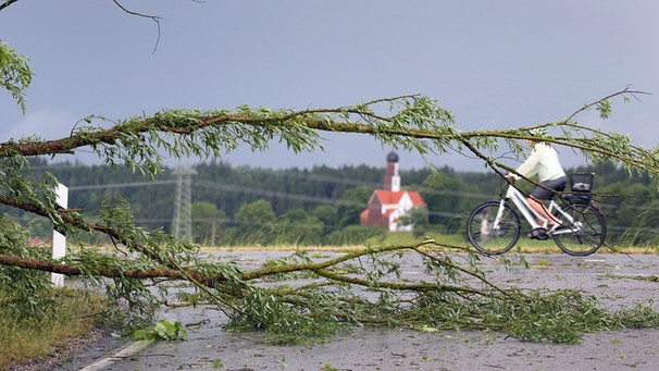 10.06.2019, Bayern, Biessenhofen: Eine Radfahrerin fährt hinter einem vom Sturm umgeknickten Baum. Foto: Karl-Josef Hildenbrand/dpa +++ dpa-Bildfunk +++ | Bild: dpa-Bildfunk/Karl-Josef Hildenbrand