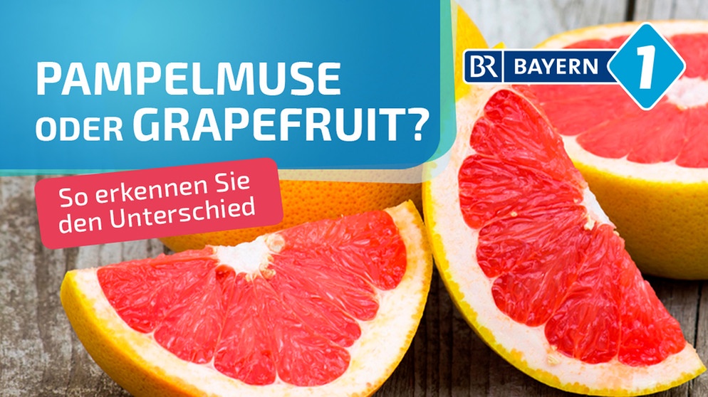 Videostartbild: Grapefruit oder Pampelmuse? | Bild: mauritius-images/ BR