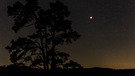 Eine sternenklare Nacht. Der Vollmond strahlt neben der Silhouette eines Baums. | Bild: mauritius-images