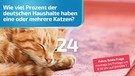 Wie viel Prozent der deutschen Haushalte haben eine oder mehrere Katzen?  | Bild: mauritius images_Pixtal / BR: Montage