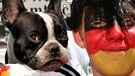 Hund Xaver 2006 zwischen lächelnden Deutschland-Fans | Bild: Martin Oeser/dapd, Barbara Rötzer; Montage: BR