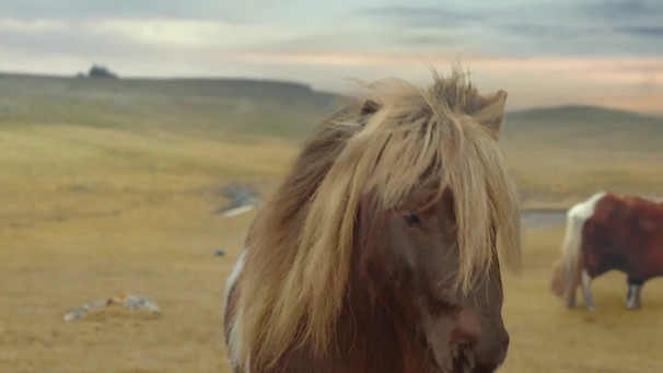 Three Pony Advert (Fleetwood Mac - Everywhere) [2013] | Bild: NOSTALGIACITY3000 (via YouTube)