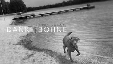Ein letzter Gruß an Bohne, Marlas Hunde-Freundin | Bild: BR; Marcus Fahn