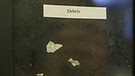 50 States - Dirk Rohrbach in New Mexico: Kleine Metallstücke hinter Glas als angebliche Beweise für Alien-Besuche.  | Bild: BR/Dirk Rohrbach