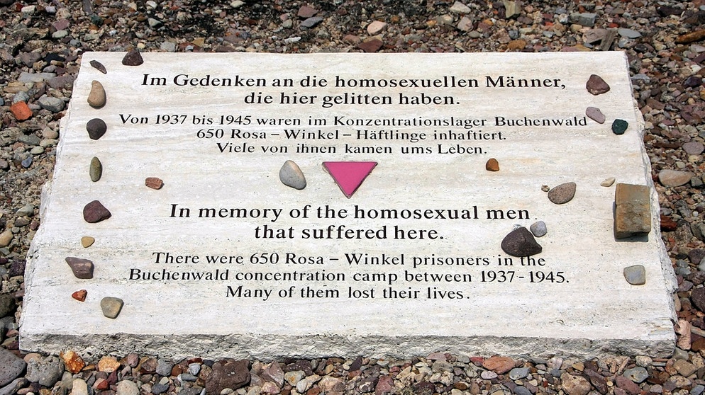 Gedenktafel an die homosexuellen Männer, die im KZ Buchenwald gelitten haben und ermordert wurden.  | Bild: picture alliance / Klaus Nowottnick | Klaus Nowottnick