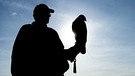 Die Silhouette eines Falkners mit seinem Rotschwanzbussard.  | Bild: picture-alliance/dpa