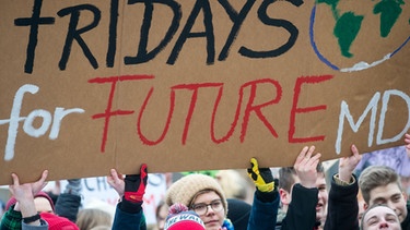 Demonstrierende heben ein Schild hoch, auf dem steht: "Fridays for Future". | Bild: picture-alliance/dpa