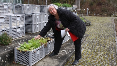 Marianne Scheu-Helgert, Chefin der Bayerischen Gartenakademie an der Landesanstalt für Weinbau und Gartenbau in Veitshöchheim | Bild: BR / Anke Gundelach