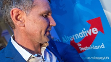 Björn Höcke, AfD-Logo | Bild: picture-alliance/dpa