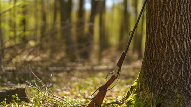 Jagdgewehr lehnt an einem Baum | Bild: colourbox.com