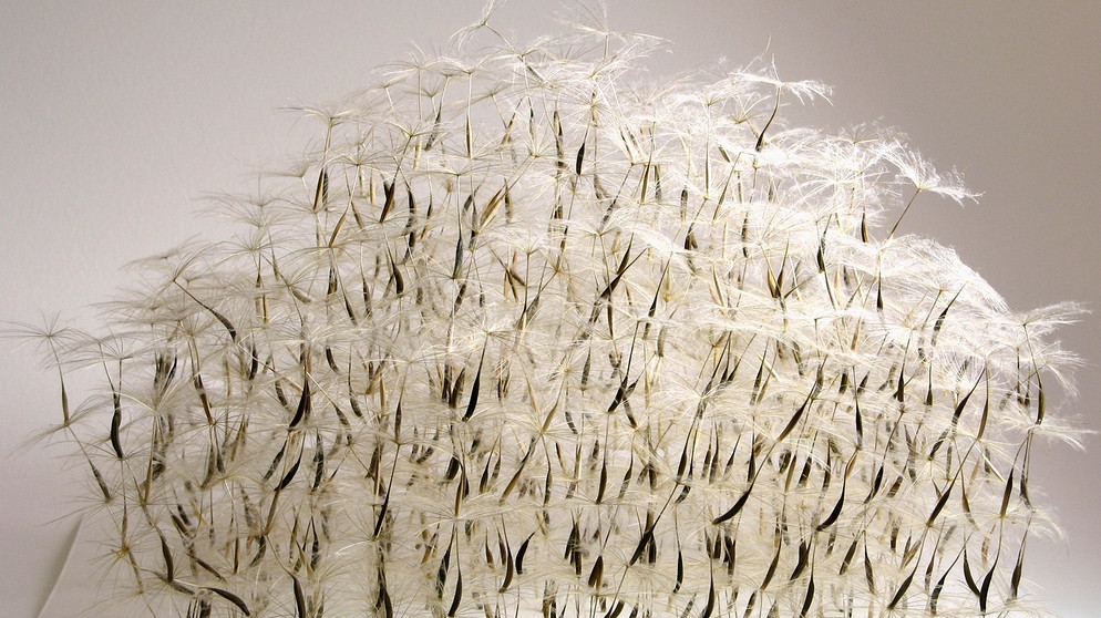 Pagode, 2021, Samen Wiesenbocksbart geklebt auf Bütten, 30 x 30 x 30 cm | Bild: Katja Wunderling