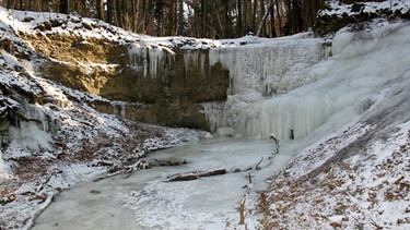 Gefrorene Wasserfall im Winter | Bild: Wikimedia Commons - Bildrechte: Derzno