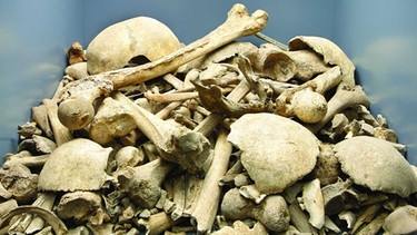 Knochen, Gebeine, Bestattungen  | Bild: BR / Carlo Schindhelm
