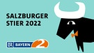 Aktionslogo des Radio-Kabarettpreises Salzburger Stier 2022 | Bild: BR