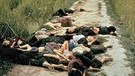 Ermordete Frauen und Kinder in My Lai | Bild: Ronald L. Haeberle