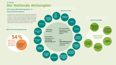 Grafische Darstellung der einzelnen Punkte, die der Nationale Aktionsplan Gesundheit vorsieht. | Bild: Hertie School of Governance