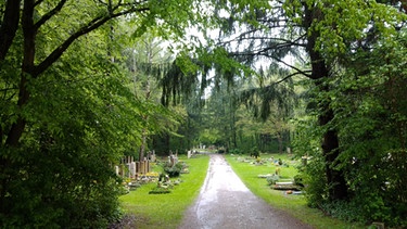Waldfriedhof München | Bild: BR / Andreas Höfig