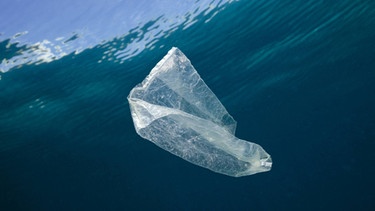 Eine Plastiktüte im Meer | Bild: picture-alliance/dpa