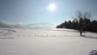 Winterlandschaft in Reit im Winkl | Bild: BR/Markus Konvalin