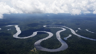Amazonas-Urwald in Gefahr - Luftbild aus Peru. | Bild: picture alliance / AP Images / Rodrigo Abd