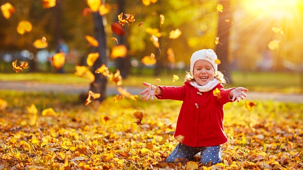 Kind spielt mit Herbstlaub | Bild: colourbox.com