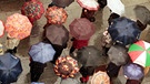 Regenschirme in der Münchner Innenstadt | Bild: picture-alliance/dpa
