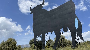 An der Nationalstraße bei Cabanillas de la Sierra wurde seinerzeit der erste Stier aufgestellt | Bild: BR / Reinhard Spiegelhauer