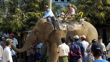 Elefant auf dem Marktplatz von Bago | Bild: picture alliance/imageBROKER