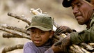 Junge hilft Vater bei der Zuckerrohrernte in Guatemala (Archivfoto von 2005) | Bild: picture allicance/dpa
