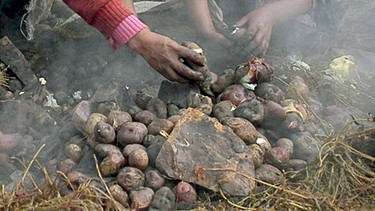 Kartoffelernte in Peru | Bild: picture-alliance/dpa