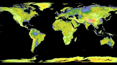 Die von der NASA und dem japanischen Ministerium für Wirtschaft, Handel und Industrie (METI) veröffentlichte Aufnahme zeigt die bislang umfassendste digitale Karte von der Oberfläche der Erde - sie deckt 99 Prozent der Landfläche ab.  | Bild: picture-alliance/dpa
