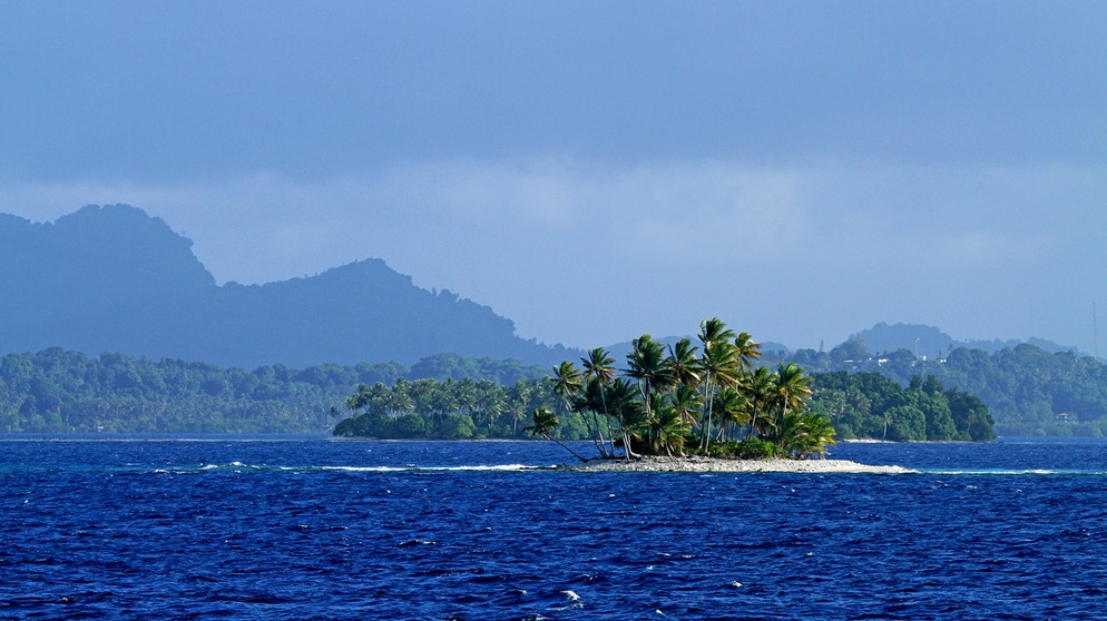 Auf dem Meer zwischen den Solomon Inseln und Mikronesien
| Bild: picture alliance / blickwinkel/AGAMI/P. Morris | AGAMI/P. Morris