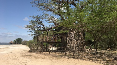 Hütte am Strand im Baobab | Bild: BR / Martina Zimmermann