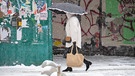 27.11.2023, Ukraine, Kiew: Eine Frau geht bei Schneefall unter einem Regenschirm durch die Stadt. Große Teile der ukrainischen Schwarzmeerküste wurden am Sonntag von einem plötzlichen Wintereinbruch erfasst und lahmgelegt | Bild: dpa-Bildfunk/---