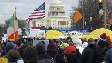 Demonstranten vor dem Kapitol in Washington | Bild: picture-alliance/dpa